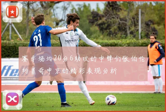 赛季场均20分6助攻的中锋们张伯伦约基奇申京的精彩表现分析