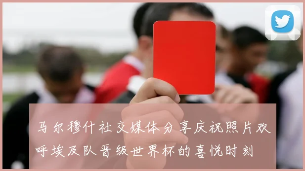 马尔穆什社交媒体分享庆祝照片欢呼埃及队晋级世界杯的喜悦时刻