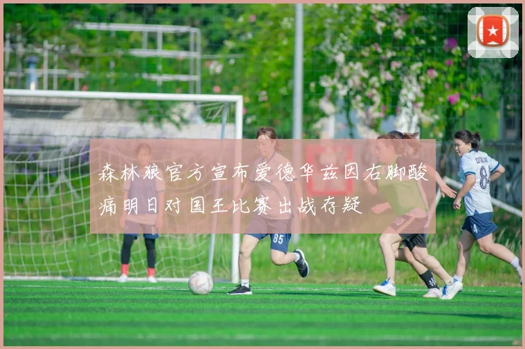 森林狼官方宣布爱德华兹因右脚酸痛明日对国王比赛出战存疑