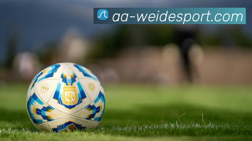 伟德体育APP 封面图